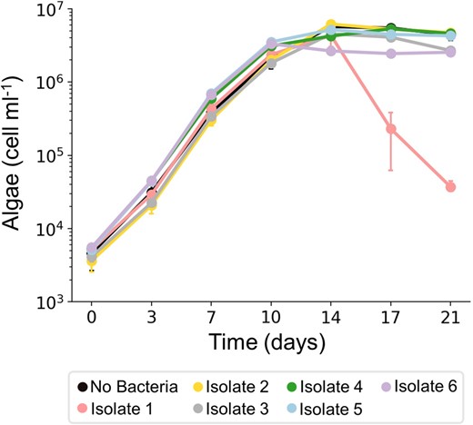 Growth of axenic E. huxleyi CCMP2090 was monitored in co-cultures, each time with a different isolate, for 21 days. As can be seen, algal death was triggered only in co-cultures with isolate #1. Each data point consists of 3 biological replicates, error bars designate ± SD. The growth of isolate #1 in the co-culture (P. inhibens i.) is presented in Supplementary Fig. S2C.