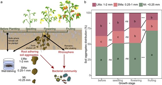 a Experimental design. b Soil aggregates distribution in different growth stages. The asterisk indicates a statistically significant difference between two growth stages in each individual soil aggregate size class: ns no significant difference; *p < 0.05; **p < 0.01; ***p < 0.001. The lowercase letters indicate the significant difference between size classes in individual stages. The significances were determined by Compute Tukey Honest Significant Differences test (TukeyHSD) based on Two-way ANOVA. Stacking bars represent the average of six replicates.