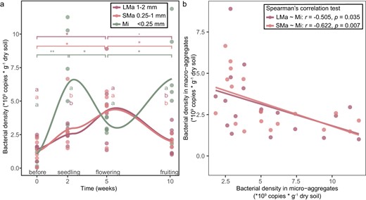 a Bacterial density in soil aggregates based on the real-time qPCR test. b Negative correlation in bacterial density between micro-aggregates and macro-aggregates. LMa large macro-aggregate, 1–2 mm; SMa small macro-aggregate, 0.25–1 mm; Mi micro-aggregate, <0.25 mm. The asterisk indicates a statistically significant difference between two growth stages in each individual soil aggregate size class: ‘p < 0.1; *p < 0.05; **p < 0.01. The lowercase letters indicate the significant difference between size classes in each individual stage. The significances were determined by Compute Tukey Honest Significant Differences test (TukeyHSD) (p < 0.05) based on Two-way ANOVA. The correlation was determined by Spearman’s rank correlation test based on density data excluding the before stage.