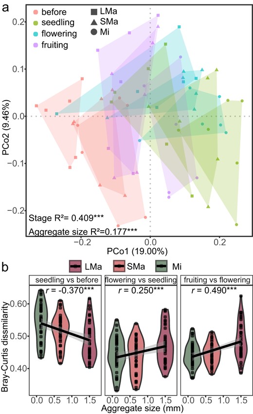 a Principal coordinates analysis (PCoA) and Analysis of similarity (ANOSIM) based on Bray–Curtis dissimilarity. LMa large macro-aggregate, 1–2 mm; SMa small macro-aggregate, 0.25–1 mm; Mi micro-aggregate, <0.25 mm. The colors mean different growth stages, and shapes indicate the size classes of soil aggregates. *** indicates significant difference (P < 0.001) according to ANOSIM. b Bray–Curtis dissimilarities of successive growth stages in individual soil aggregate size classes and its correlation with soil aggregate sizes. The correlations were determined by Spearman’s correlation test, *** means the significance level of correlation (P < 0.001).