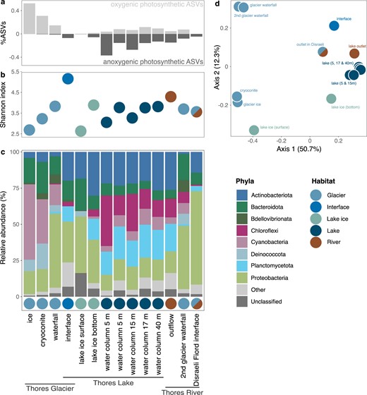 a Relative abundance of photosynthetic organisms based on their oxygen regime. b Sample richness (from Shannon’s diversity index). c Phylum-level relative abundance (top dataset-wide phyla shown, the rest grouped in “Others”). Colors show habitat type – when a sample was taken at the interface of two categories, both colors are represented. d Principal coordinate analyses from Bray-Curtis dissimilarity matrix showing beta diversity across all samples.