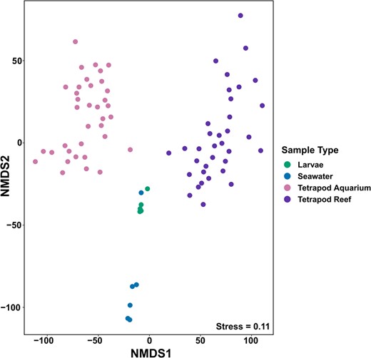 nMDS highlighting the variation in 16S rRNA prokaryotic community composition across all sample types (Tetrapod Reef N = 35, Tetrapod Aquarium N = 35, Larvae N = 5, Seawater N = 6). Tetrapods from all time periods (1, 2 and 3 months) were grouped together.