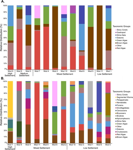 (A) aquarium- and (B) reef-conditioned biofilms across all sampling timepoints. Taxa representing <1% of the communities are grouped as “Other”. In the category Red Algae, all taxa were classified as CCA.