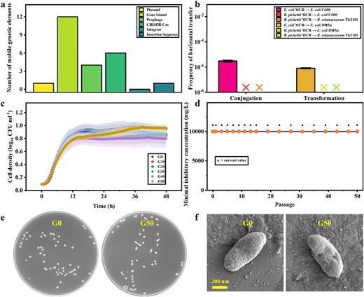 a Quantitative analysis of MGEs. b Conjugative and transformative transfer experiments. c Growth curves of wild types and different generations. d Colistin resistance in different generations. e Colony phenotypes of the first (G0) and 50th generation (G50). f Single bacterial phenotypes of G0 and G50.