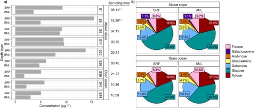 a) Total monosaccharide concentrations as ug per L of seawater at each station and depth, b) Relative abundance of monosaccharides grouped by station location in relation to continental slope. Data show neutral and amino monosaccharides. SRF = Surface water sample, BML = sample from bottom of the surface mixed layer.