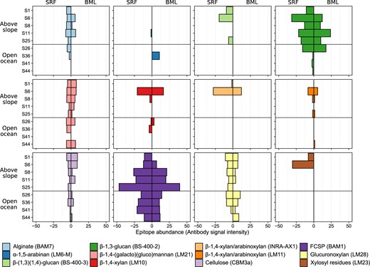 Plots show the relative abundance (antibody signal intensity) of polysaccharide epitopes detected in POM samples. Signal intensities for each extract against each antibody were quantified. The highest signal value in the data set (which corresponded to a standard control) was set to 100 and all other values were normalised accordingly. Only antibodies with a signal >=5 in at least one sample were retained. Mean signal intensities (from the four replicates) were then determined for each antibody in each sample. The epitope abundances shown here represent the summed values from the mean signal of H2O, EDTA and NaOH extractions. Each antibody has a different avidity, thus the absolute numbers should not be compared between probes to infer different concentrations, but signal from a single antibody determines the relative abundance of the epitope within the sample set. Specific polysaccharide structures that the molecular probes (depicted in parentheses) bind to are shown in the legend. SRF = Surface water sample, BML = bottom of the surface mixed layer. FCSP = Fucose-containing sulphated polysaccharide. Some epitopes that were only detected at low intensity in <3 samples were not included in this plot.