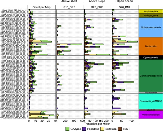 Carbohydrate utilisation genes were clustered into four groups based on function. The count and TPM value of all genes within each group were summed. Gene counts were further normalised by MAG genome size. TBDT = TonB-dependent transporter.
