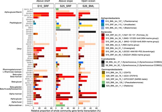 The ten MAGs that exhibited the highest CAZyme transcription values in each sample were selected. Within each of those MAGs, only CAZyme gene families with transcription values higher than ribosomal proteins were retained. To determine the proportion of transcription at the gene family level, we mapped all transcripts identified as CAZymes at the community level to MAG predicted genes. Presented here is the proportion of transcripts of each gene family associated with the selected MAGs – proportion of sample total transcription for that gene family.