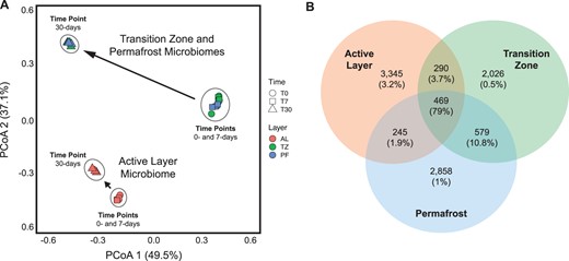 Beta diversity (A) ordination from principal coordinate analysis (PCoA) based on Bray-Curtis dissimilarity in the relative abundance of 16S rRNA amplicon sequence variants (ASVs) within each soil layer microbiome. Each point represents an individual sampling replicate from each soil layer collected at each incubation time point during the experiment (N = 27). B Venn diagram of unique and shared 16S ASVs for each soil layer microbiome. The total ASVs of each soil layer and those ASVs shared between soil layers are shown as counts. The relative abundance of ASVs associated with each count value is shown as a percentage in parentheses.