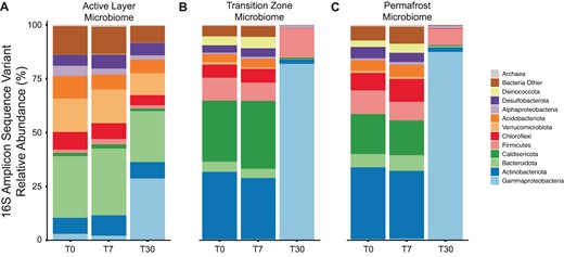 Relative abundance (mean %) of dominant bacterial phyla and archaea within the (A) active-layer microbiome, (B) transition-zone microbiome, and (C) permafrost microbiome derived from the 16S rRNA amplicon sequence variants (ASVs). Pseudomonadota (formerly Proteobacteria) are resolved to the class level.