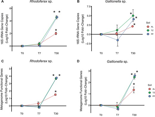 Log10 fold-change (mean ± SE) in absolute abundance of (A, B) 16S rRNA gene copies and metagenome functional genes (C, D) for the dominant Fe(III)-reducing bacterial taxon (A, C) Rhodoferax sp. and dominant Fe(II)-oxidizing bacterial taxon (B, D) Gallionella sp. compared to incubation sampling time point T0 within each soil layer microbiome. Absolute abundance values were derived from 16S rRNA amplicon sequencing and metagenome sequencing, respectively, relative to Thermus thermophilus internal standard recovered from each sequencing effort. An asterisk indicates a significant Log10 fold-change compared to incubation time point T0 within each soil layer microbiome (ANOVA; p < 0.05).