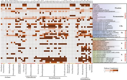 These MAGs (top) harbor complete or near-complete carbon fixation pathways (Completeness>67%). Taxonomic classifications of MAGs are represented at bottom of heatmap by different colors. Corresponding genes involved in each pathway are shown in parentheses. Color of each cell refers to completeness of enzymes involved in each pathway.