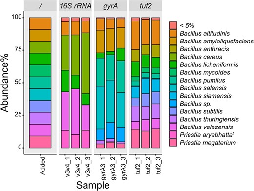 The first bar represents the theoretical abundances in the Bacillus DNA mixture followed by abundances detected using the V3–V4 16S rRNA, gyrA, and tuf 2 sequencing approaches, respectively.