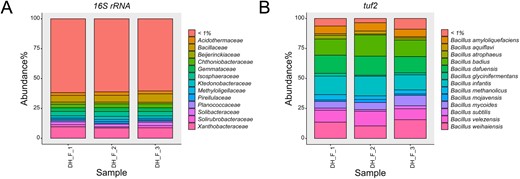 A Relative abundance of the most abundant bacterial families, and (B) relative abundance of the most abundant Bacillus species in natural soil sample collected from Dyrehaven (55.791000, 12.566300).