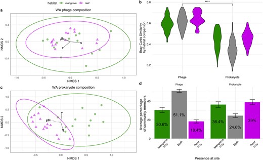 NMDS plot of phage (a) and prokaryotic community compositions (c) based on Bray–Curtis dissimilarities in the WA colored by habitat type. Ellipses are drawn based on a normal multivariate distribution. Significant environmental factors that correlated with compositional variation are shown with solid lines corresponding to p values < 0.01 and dashed lines for p values < 0.05. b Violin plot of Bray–Curtis similarity between samples within the WAM (green) between the WAR and WAM (gray) and within the WAR (pink). Significance bar stars correspond to a p values < 0.001 from Wilcox tests of average similarities of phage and prokaryotic communities. d Barcharts of the percentage of community members found at a site that was either present in only the mangrove of the site (green), the reef of the site (pink) or both (gray). Error bars correspond to standard error.