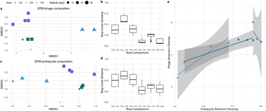 NMDS plots of the phage (a) and prokaryote (c) community composition based on Bray–Curtis distances. Points are colored by river and size corresponds to salinity in ppt. Some points overlapped (e.g. 13A2 and 13A3 in a). Boxplots of Bray–Curtis similarity between samples belonging to the same or different rivers for phage (b) and prokaryotic (d) communities. Rivers compared are separated with an underscore. e Shannon’s Diversity of phages in a sample plotted against that of prokaryotes in the EPM color and shape by river. Line calculated from linear regression. Standard error is shaded.
