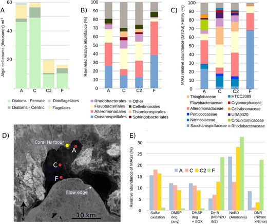 Metagenomic Assembled Genomes (MAGs) were generated from the bottom 10 cm of the sea ice. A Algal cell counts (thousands ml−1) in melted ice. B Relative abundance of prokaryotic orders based on 16S rRNA reads extracted from unassembled metagenomic data (Silva database). C Relative abundance and taxonomy (Genome Taxonomy Database - GTDB) of top 104 MAGs which were used in the metabolic pathway analysis. The 104 MAGs together recruited 25–50% of all metagenomic reads and, based on 16S rRNA reads, were a broadly representative subset of prokaryotic taxa from which to investigate the metabolic functions. D Map of sample sites in relation to Coral Harbour and the flow edge, site C was sampled on two occasions 17/5/2019 (C1) and 30/05/2019 (C2). E Predicted metabolic pathways encoded in MAGs by comparison with the KEGG database. The y-axis shows the relative abundance of all MAGs encoding each specific metabolic pathway (reads mapped as a percentage of all MAG mapping reads): Sulfur oxidation - any complete sulfur oxidation pathway (see Fig. 2 for list); DMSP deg. - DMSP degradation genes including DMSP lyases and/or DMSP demethlyase; DMSP deg. + SOX - MAGs with a combination of DMSP degradation pathways or complete sulfur oxidation pathways as above; De-N - MAGs encoding a denitrification pathway including nitrite reductases (nirS/nirK), nitric oxide reductase (norBC), nitrous oxide reductase (nosZ); NirDB - nitrite reductase to ammonia; DNR - dissimilatory nitrate reduction (nitrate reductases; napAB or narB).