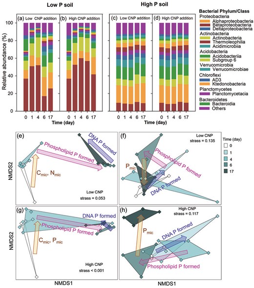Changes in bacterial community composition are indicated by shifts in relative abundance of the top 13 bacterial classes affiliating to 7 phyla (a–d). Simplified non-metric multidimensional scaling (NMDS) plots derived from sequence data at OTU level (e–h). There are three replicates in the day 0, and four replicates in other sampling days. Areas marked by different colors in NMDS plots separate the community composition before and after CNP additions, and arrows show most important processes of microbial biomass, phospholipids P and DNA P formation (canonical correspondence analysis, p < 0.05).