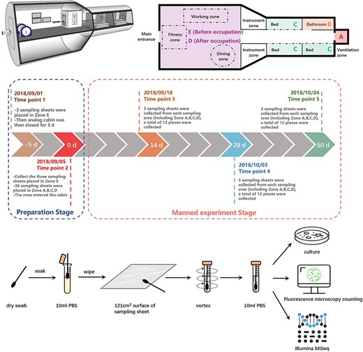 Overview of the analog cabin of CSS, experimental design and methods.