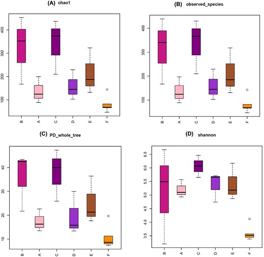 Alpha diversity metrics for A, B, C, D, E, and F groups. The chao 1 (A), observed species (B), PD whole tree (C), and Shannon index (D) are shown for each group.