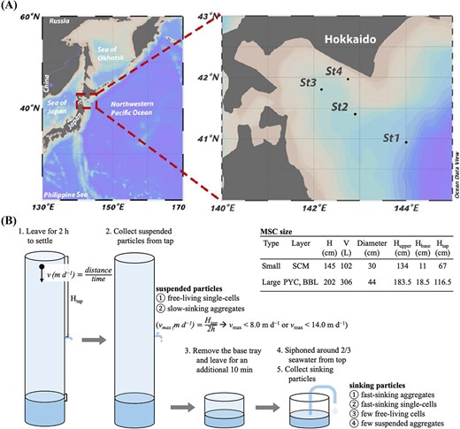 Illustration of sampling strategy. (A) the location of sampling sites visualized using ocean data view; (B) the schematic of sampling design with MSC. Two specifications of MSC were employed, and the detailed metrics were list in the table. The smaller MSC were deployed at SCM layer, while the larger one was used at both PYC and BBL.