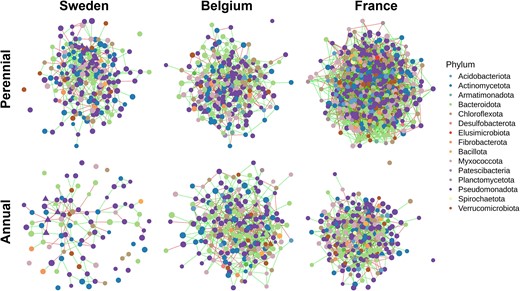 Co-occurrence networks showing the structure of the root microbiome from different plant genotypes and field sites inferred by SPIEC-EASI. The two sampling time points were merged and only ASVs with a prevalence >0.75 were included (n = 34–40). Node color and size correspond to the taxonomy on phylum level and clr-transformed abundance, respectively. Edge colors represent positive (green) and negative (red) associations between ASVs. Keynote taxa are represented as triangles.
