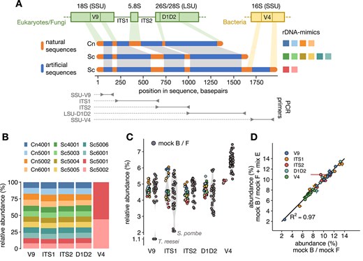 細菌と真菌が混在したマイクロバイオームの定量解析を可能に~人工核酸標準物質の開発で次世代シーケンサーによる解析の標準化に貢献~ 細菌と真菌が混在したマイクロバイオームの定量解析を可能に~人工核酸標準物質の開発で次世代シーケンサーによる解析の標準化に貢献~