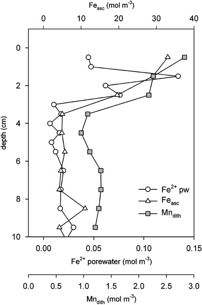 Distributions of dithionite extracted manganese (Mndith), Fe2+ dissolved in the porewater, and ascorbic acid extractable sedimentary iron (Feasc), which is regarded as the most reactive Fe(III) fraction.