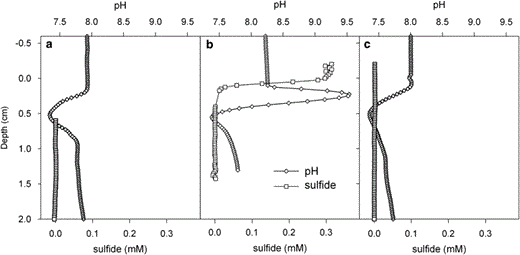 Effect of sulfide addition to the overlying water on the pH profile. The experiment was done under reduced oxygen, by flushing with argon. (a) Before addition, (b) 10 min after addition, (c) 8 h after addition.