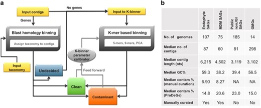 (a) Schematic overview of the ProDeGe engine. (b) Features of data sets used to validate ProDeGe: SAGs from the Arabidopsis endophyte sequencing project, MDM project, public data sets found in IMG but not sequenced at the JGI, as well as genomes from metagenomes. All the data and results can be found in Supplementary Table S3.