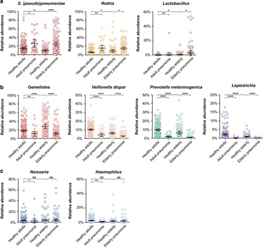 Patterns in relative abundance of frequently occurring OTUs in elderly and adult controls and pneumonia patients. Relative abundance (percentage) is depicted per individual for Gemellales, Streptococcus (pseudo)pneumoniae, Neisseria, Rothia, Veillonella, Prevotella melaninogenica, Haemophilus, Leptotrichia and Lactobacillus. Statistically significant differences between groups (healthy elderly vs elderly pneumonia (circles), healthy adults vs adult pneumonia (triangles) and healthy adults vs healthy elderly) were calculated using significance analysis of microarrays with false discovery rate correction for multiple tests. *q⩽0.05; **q⩽0.01; ***q⩽0.001; ****q⩽0.0001; NS, not significant. Bars represent geomean and 95% CI of geomean per group. OTUs are color coded based on the phylum level; Firmicutes, red; Actinobacteria, yellow; Bacteroidetes, green; Proteobacteria, blue; and Fusobacteria, purple.