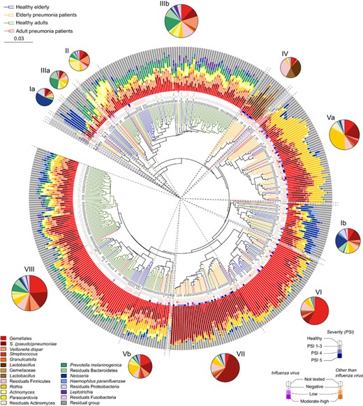 Weighted Unifrac (phylogenetic) average linkage hierarchical clustering analysis in elderly and adult healthy controls and pneumonia patients. The weighted Unifrac distance matrix was used to construct a circle dendrogram including all 405 individuals; healthy elderly (blue branches), elderly pneumonia patients (yellow), healthy adults (green) and adult pneumonia patients (red). Adjacent to the dendrogram branch ends, viral data and information on disease severity are visualized and stacked bar charts show the relative abundance of the 15 highest ranked OTUs. Color coding: presence of influenza virus and non-influenza virus is shown in purple and orange respectively; dark purple/orange, virus present in moderate-high amount (CT-value <35 cycles); moderate light purple/orange, virus present in low amount (CT-value 35–45 cycles); light purple/orange, viral qPCR performed and tested negative (CT-value >45 cycles); white, no viral qPCR performed. Clusters (defined as more than four samples; bright) are designated by dotted gray lines originating from the center of the dendrogram. Groups of samples comprising less than four samples are shown opaque. Three clusters were significantly associated with health; these clusters showed predominance of Prevotella melaninogenica (IIIa and IIIb) and Leptotrichia (IIIb) or showed a balanced microbial community (VIII). Clusters that were correlated with disease showed high relative abundance of either lactobacilli (IV), Rothia (Va) or Streptococcus (pseudo)pneumoniae (VII). Cluster IV was most strongly associated with the presence of influenza virus (50%). Five clusters showed no association with either health or disease, these clusters showed high relative abundance of Neisseria (Ia and Ib), Actinomyces (II), Gemellales (VI) or Rothia (Vb). Per cluster, the mean relative abundance of the 15 highest ranked oropharyngeal OTUs and the residual bacteria separated by phylum is given in circle graphs that were size-scaled according to the number of individuals within each cluster. PSI, pneumonia severity score.