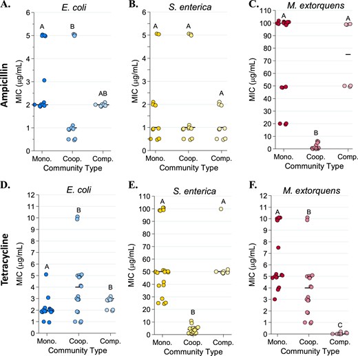 Species-specific minimum inhibitory concentration (MIC) values in monoculture, cooperative community, and competitive community in ampicillin (a–c) and tetracycline (d–f). MIC was defined as the minimum concentration of antibiotic required to inhibit growth by three times the time to detectable growth of the antibiotic-free control MICs were calculated based on fluorescence (CFP for E. coli, YFP for S. enterica, and RFP for M. extorquens) recorded on a Tecan plate reader with fluorescence measurements every 15 min. Pairwise comparisons of median MIC were performed using a Mann–Whitney U test, with a Bonferroni correction applied for three multiple comparisons. Shared letters indicate non-significant differences between clusters