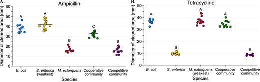 Diameters of zones of clearing for ampicillin (a) and tetracycline (b) disc diffusion assays. The diameter of the zone of clearing was measured three times for each plate and averaged for a single-plate measurement. At least eight replicate plates were measured for each monoculture and community type. The “weakest link” species (i.e., the species with the largest median zone of clearing in monoculture) is indicated on the x-axis. Pairwise comparisons of the zone of clearing for each monoculture and community was performed with a Mann–Whitney U test with Bonferroni adjustment for multiple comparisons. Significant differences are noted by different letters above each cluster; shared letters represent non-significant differences