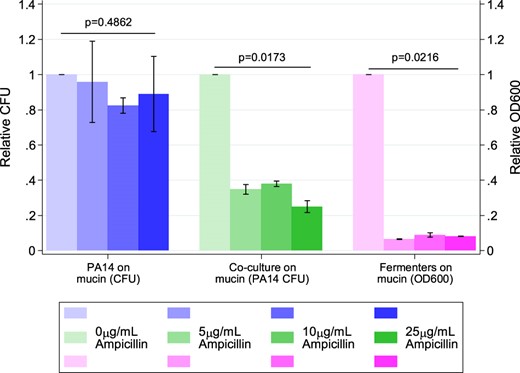 Ampicillin tolerance of Pseudomonas aeruginosa PA14 grown, PA14 cross-feeding with a mucin-fermenting community, and the mucin-fermenting community alone. PA14 colony-forming units (CFUs) from monocultures and co-cultures were enumerated by plating cells from each ampicillin concentration on LB agar after 16 h of growth. Fermenter community OD600 was measured with a Biotek Synergy H1 plate reader after 48 h of growth. Normalized OD600 and CFU values were calculated for each concentration of ampicillin by dividing raw values for the OD600 or CFU value at that concentration by the raw OD600 or CFU value of growth at 0 µg/mL ampicillin. Each point represents the mean and standard deviation of triplicate samples. P-values were calculated using a Kruskal–Wallis test across ampicillin concentrations using relative CFU (for PA14) or OD600 (for fermenters)