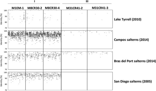 Presence of S. ruber virus groups I and III in metaviromes from different origins. BLASTn searches of the following metavirome reads against S. ruber viral genomes: Lake Tyrrell (Australia), siteA (2010); Campos salterns (Spain), E2 pond (2014); Bras del Port salterns (Spain), CR30 pond (2010); San Diego salterns (CA, USA), High Salt 111605 (2005). Viruses from group II are not represented as their presence is below the detection limit.