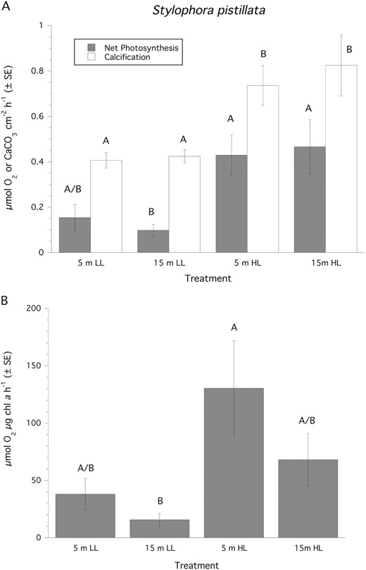Rates of photosynthesis and calcification normalized to surface area (mean ± SE) for Stylophora pistillata. LL = 150 µmol quanta m−2 s−1, HL = 500 µmol quanta m−2 s−1. Treatment groups (n = 7 samples per group) and for each independent parameter similar superscripts are not significantly different from each other