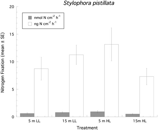 Rates of N2 fixation (n = 7 samples per treatment group) normalized to surface area (mean ± SE) for Stylophora pistillata. LL = 150 µmol quanta m−2 s−1, HL = 500 µmol quanta m−2 s−1