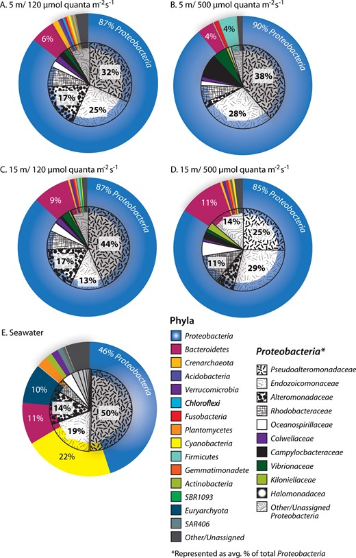 Pie Charts representing average percent contribution of the most dominant prokaryotic phyla (large pies) to the total relative abundance in Stylophora pistillata at: a 5 m, 150 µmol quanta m−2 s−1, b 5 m, 500 µmol quanta m−2 s−1, c 15 m, 150 µmol quanta m−2 s−1, d 15 m, 500 µmol quanta m−2 s−1, e ambient seawater. Additionally, all Proteobacteria families (superimposed small pie charts) are presented across all treatment groups (n = 7 samples per group)