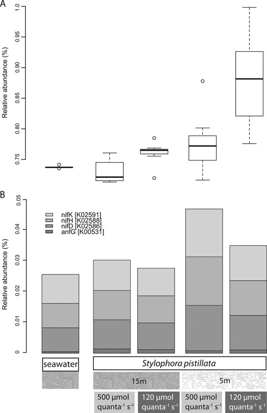 PICRUSt nitrogen metabolism abundance differences. a Relative abundance of OTUs participating in nitrogen metabolism pathways based on PICRUSt prediction. b Relative abundances of PICRUST-predicted OTUs contributing nitrogen-fixing genes (i.e., anfG, nifDHK)