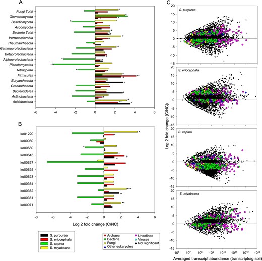 Differences in rhizosphere transcript abundance between contaminated and non-contaminated soils. Fold difference in the normalized transcript abundance summed for a bacterial and fungal phyla and classes, and b KEGG pathways (ko’s) involved in hydrocarbon degradation for the rhizosphere of each individual willow species (S. purpurea, S. eriocephala, S. caprea, and S. miyabeana) growing in contaminated vs. non-contaminated soils. c Fold difference in the normalized transcript abundance for willow species S. purpurea, S. eriocephala, S. caprea, and S. miyabeana growing in contaminated vs. non-contaminated soils. Transcripts that showed significant differences in t-tests are highlighted in color according to their taxonomic affiliation. ko0071: fatty acid degradation; ko00361: chlorocyclohexane and chlorobenzene degradation; ko00362: benzoate degradation; ko00364: fluorobenzoate degradation; ko00623: toluene degradation; ko00625: chloroalkane and chloroalkene degradation; ko00627: aminobenzoate degradation; ko00643: styrene degradation; ko00680: methane metabolism; ko00980: metabolism of xenobiotics by cytochrome P450; ko01220: degradation of aromatic compounds. +P < 0.10, *P < 0.05, **P < 0.01, ***P < 0.001 in t-tests comparing the summed transcript abundance between contaminated and non-contaminated soils