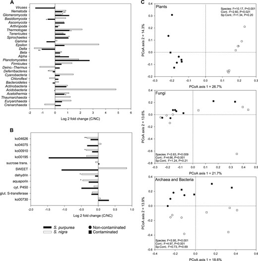 General transcript relative abundance patterns in the roots and differences in root transcripts relative abundance between contaminated and non-contaminated soils. Fold difference in the normalized transcript relative abundance summed for a bacterial, fungal, and other eukaryotes phyla and classes and b genes, genes categories, and KEGG pathways (ko’s) related to stress response, detoxification, plant hormones, nutrient transport, and communication with microbes for the roots of each individual willow species (S. purpurea and S. nigra) growing in contaminated vs. non-contaminated soils. c Principal coordinate analysis of Bray–Curtis dissimilarity calculated from the normalized transcript relative abundance matrix for the roots of the willow species S. purpurea and S. nigra growing in contaminated and non-contaminated soils. ko04626: plant–pathogen interaction; ko04075: plant hormone signal transduction; ko00910: nitrogen metabolism; ko00195: photosynthesis; ko00730: thiamine metabolism; glut.: glutathione; cyt.: cytochrome; trans.: transporter. *P < 0.05, **P < 0.01, in t-tests comparing the summed transcript relative abundance between contaminated and non-contaminated soils