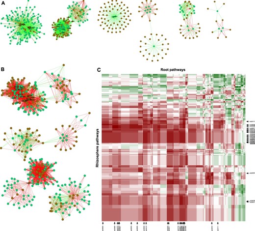 Co-variation of willow root and rhizosphere metatranscriptomes. Correlation network showing Spearman correlations between the relative transcript abundance of KEGG pathways (ko’s) in roots (green circles) and in the rhizosphere (brown circles) for the willow S. purpurea growing in a non-contaminated and b contaminated soils. c Heatmap of the change in correlation value between KEGG pathways (ko’s) root and rhizosphere metatranscriptomes when comparing contaminated vs. non-contaminated soil. In a and b, green edges are indicative of positive correlation above 0.8, whereas the red edges are indicative of negative correlations below −0.8. In c, red color indicates large negative values and green color indicates large positive values. In a, b, and c, the pathways highlighted are the ones figuring in Tables 1 and 2