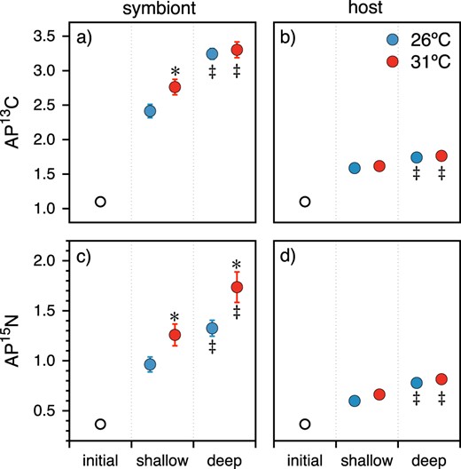 Atom %13C (a, b) and %15N enrichment (c, d) of Orbicella faveolata (right) and their Symbiodinium (left) after a 10 h pulse of 15NO3− and H13CO3− following a 10-day incubation at ambient (26 °C) and elevated (31 °C) temperature. Points represent the mean +/− standard error of 10 replicate samples collected from the shallow (1 m; dominated by ITS2 phylotype A3) and deep (15 m; dominated by ITS2 phylotype C7) fore-reef at Carrie Bow Cay, Belize. Initial samples reflect the natural abundance isotope composition prior to tracer incubation. * indicates a significant difference between the temperature treatments within a depth fraction. ‡ indicates a significant difference between shallow and deep samples