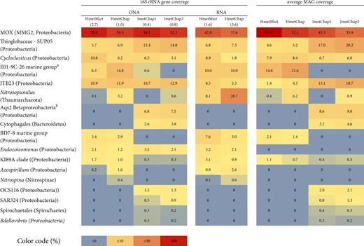 Relative abundance and phylogenetic assignment of sponge-associated bacteria based on metagenomic and metatranscriptomic coverage of their 16S rRNA gene sequences and the coverage of metagenome assembled genomes (MAGs)