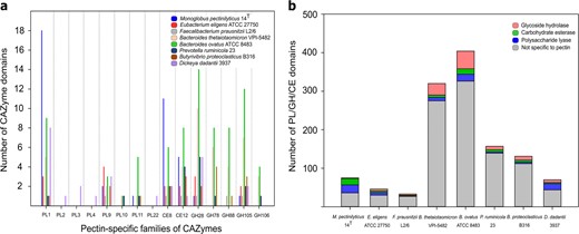 The glycobiome of M. pectinilyticus shows an unusual PL- and CE-enriched profile of extracellular CAZymes. a Comparison of PLs, GHs and CEs with pectin-specific activities between pectin-degrading strains isolated from the human gut (M. pectinilyticus, E. eligens, F. prausnitzii, Bacteroides thetaiotaomicron, and Bacteroides ovatus), the animal rumen (Prevotella ruminicola and Butyrivibrio proteoclasticus), and plants infested with soft rot disease (D. dadantii). b Comparison of proportion of pectin-specific CAZymes relative to the total number of degradative CAZymes (PLs, GHs, and CEs) for each strain