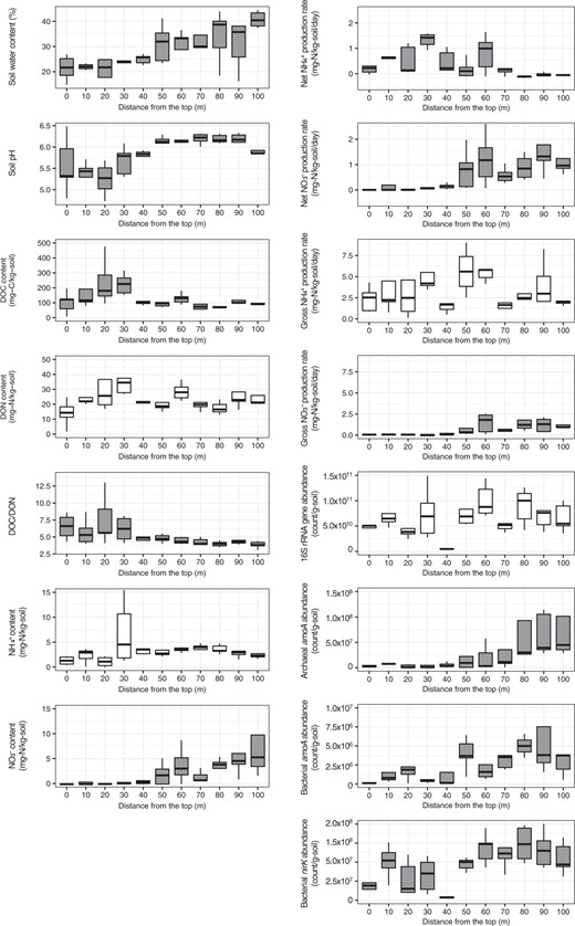 Soil environmental properties, nitrogen transformation rates, and microbial gene abundances along the forest slope. The variables exhibiting significant relationships with the location on the forest slope are displayed in gray (p < 0.05)