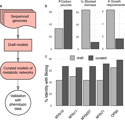 Genomes of bacterial isolates, reconstruction and validation of metabolic networks. a Pipeline for metabolic network reconstruction. Sequenced genomes were used to create draft metabolic models. Draft models were curated using topological- and sequenced-based gap-filling. The resulting models were validated with physiological data (BIOLOG GN2; see Fig. 3); these models represent the metabolic networks of microbiome isolates and were used for functional inference. b Model improvements by curation, leading to an increase in accurate prediction of uptake of carbon sources, and decreases in the prediction of non-producible biomass components and the number of components needed for growth. c Model curation improved agreement with experimental data, as for example the BIOLOG results