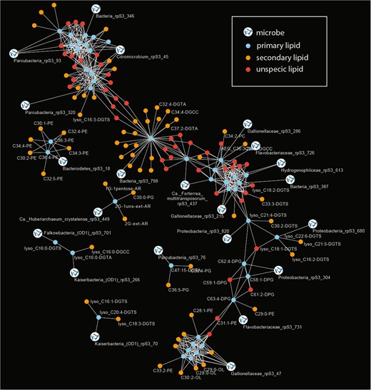 The primary lipids were defined based on a direct correlation of their relative abundance with rpS3 gene abundance (Bonferroni-corrected p value < 0.005). Secondary lipids showed a significant correlation with primary lipids and are indicative of a biological connection between the lipids (e.g., lipids from microbial symbionts or co-correlated organisms). Unspecific lipids shared primary lipids with different organism assignment. Due to visual limitations only few IPL names are displayed in the figure; all organisms to lipid correlations are provided in Table 1, raw data can be accessed in Tables S4 and S5.