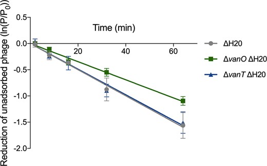 Exponentially growing cultures of the indicated strains at OD600 = 0.6–0.9 were mixed with a lysate of ϕH20-like phage p41. At the indicated time points, unadsorbed phage enumerated by plaque assay. Shown is the average of three independent experiments. Error bars indicate the standard error of the mean (N = 3). Adsorption rate constants (4.0 × 10−11 ± 0.8 × 10−11 PFU × ml per minute per bacterium for the ΔH20 mutant that is wildtype with regards to the QS system, 4.2 × 10−11 ± 1.7 × 10−11 for the ΔvanT ΔH20 mutant, and 2.9 × 10−11 ± 0.5 × 10−11 for the ΔvanO ΔH20 mutant) are not significantly different (linear regression analysis with Tukey adjustment, P = 0.16, α = 0.05).